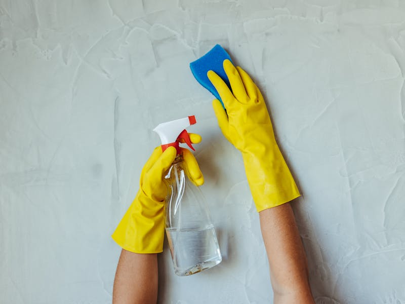 pexels-photo-28576631