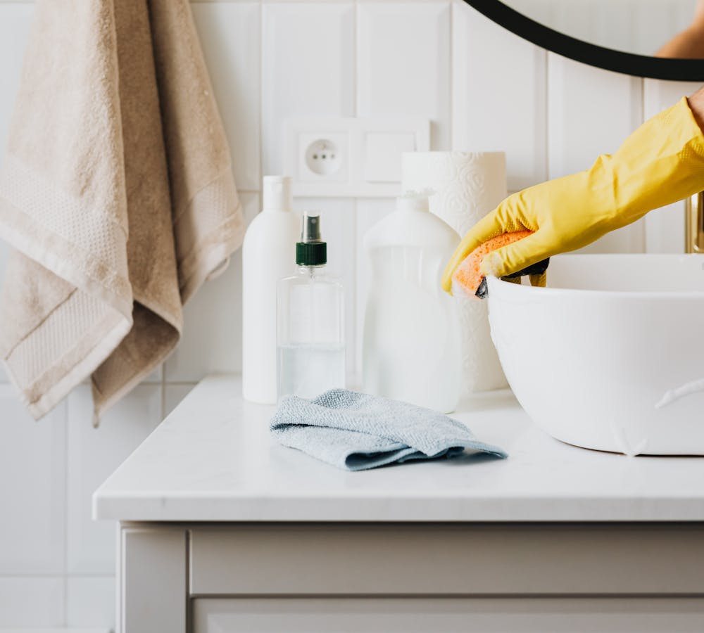 pexels-photo-4239113